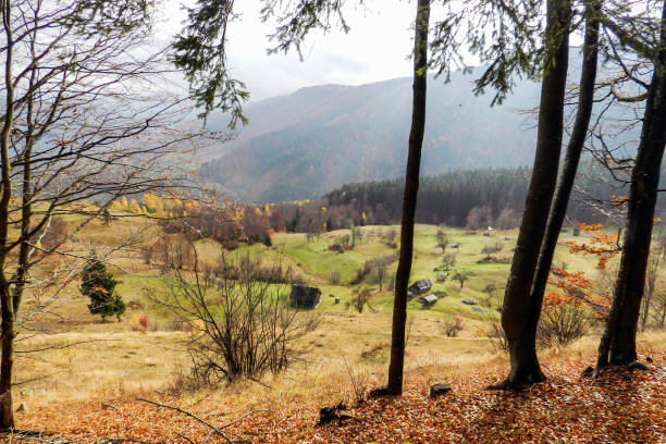 istock Beautiful autumn mountains landscape. 1008336760