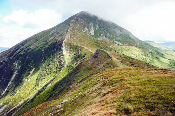 istock High grass mountains. Beautiful landscape. 1008336966