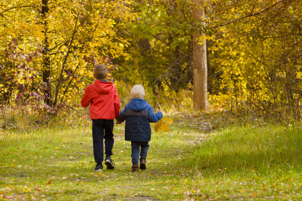 istock Two boys walking in the autumn park. Sunny day. Back view 1008340024