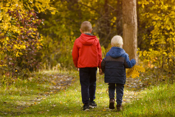 istock Two boys walking in the autumn park. Sunny day. Back view 1008340034
