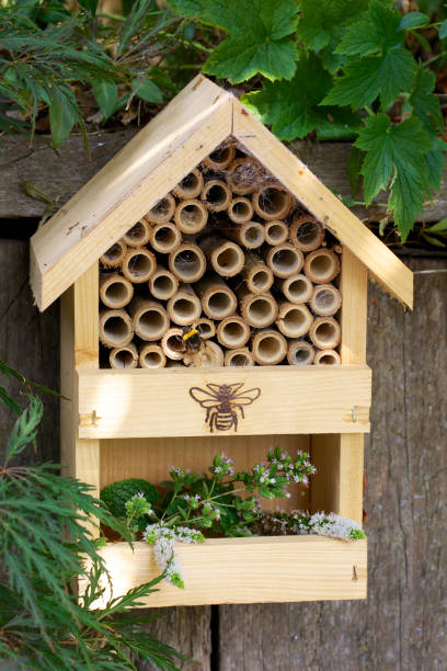 istock Insect hotel or house in a garden environment with bumblebee 1008340068