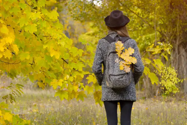 Photo of Yellow leaves in a backpack, a girl stands in an autumn forest. Back view
