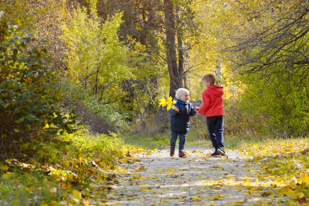 istock Two boys plaing in the autumn forest. Sunny day. Back view 1008340168