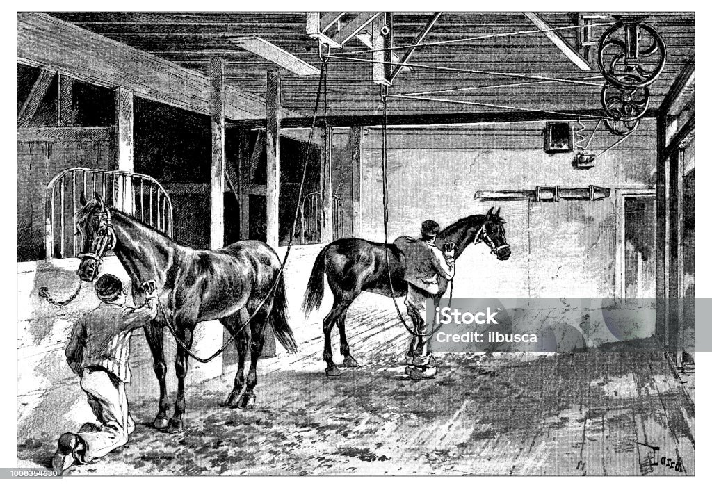 Antique scientific engraving illustration: Electric horse razor brush comb Horse stock illustration