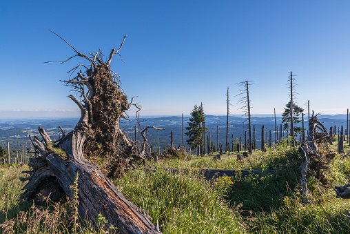 Landscape on the mountain of great Rachel in the Bavarian Forest, Germany