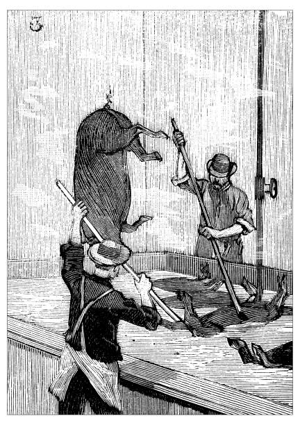 istock Antique scientific engraving illustration: Butcher Slaughterhouse 1008357970