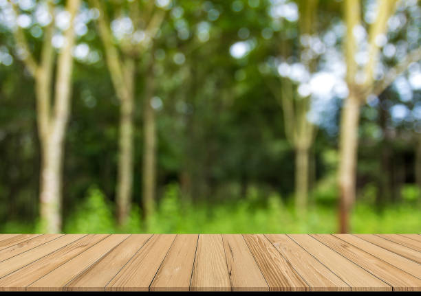 istock Wood plank with abstract rubber plantation blurred background for product display 1008366160