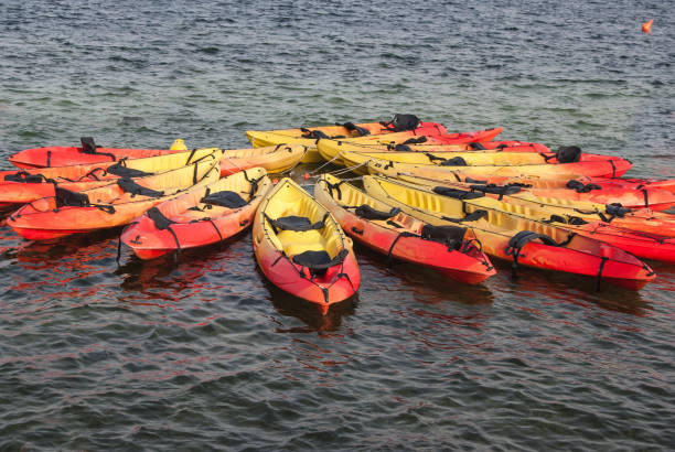 istock Kayaks close to each other 1008379668