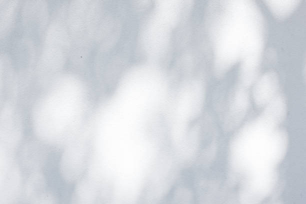 istock Shadow Of Leaves Reflected On The White Wall 1008382302