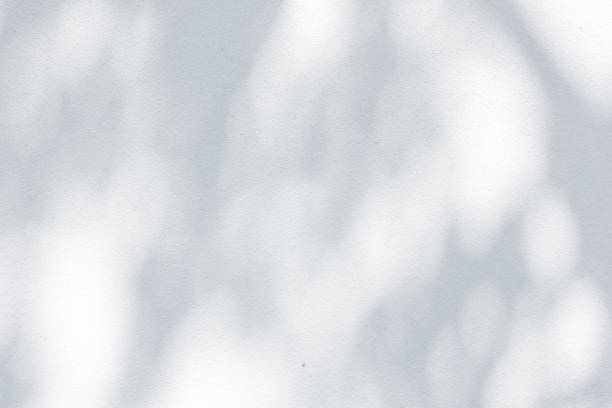 istock Shadow Of Leaves Reflected On The White Wall 1008382312