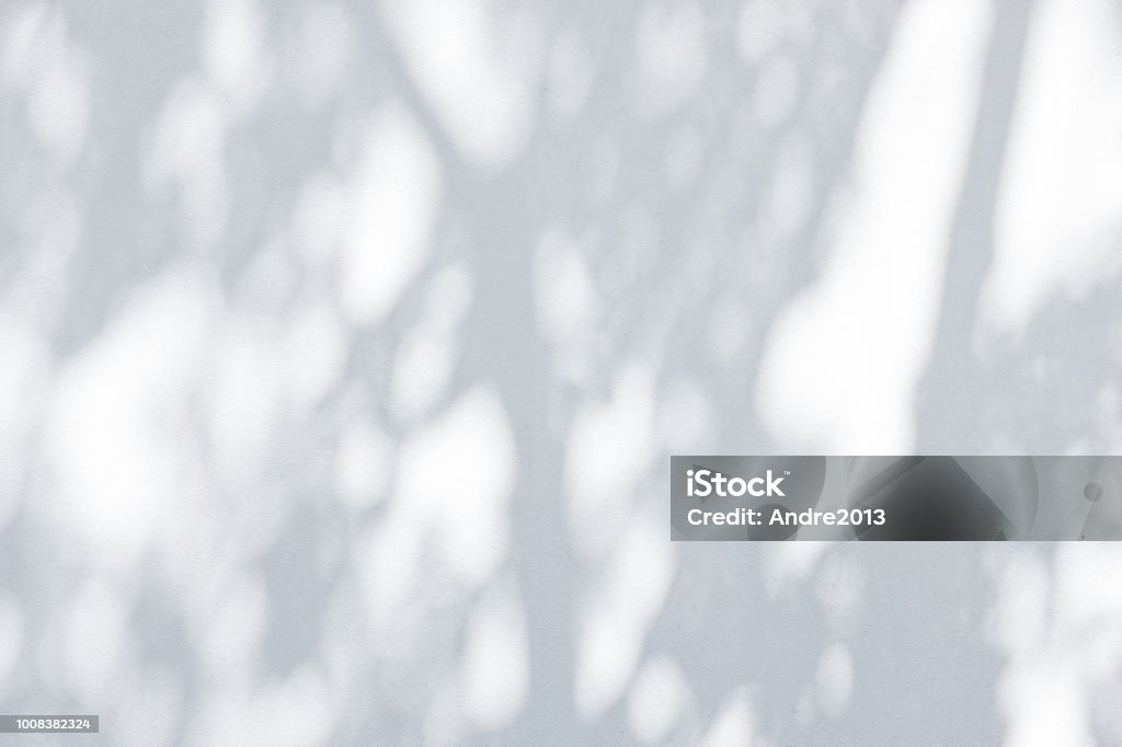 Sombra de las hojas reflejadas sobre la pared blanca - Foto de stock de Sombra libre de derechos