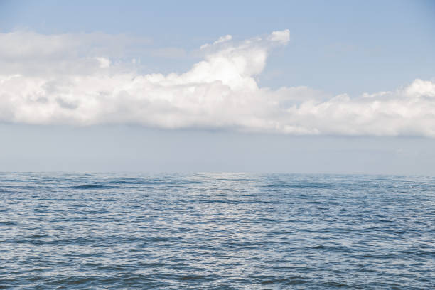 istock View of the sea, waves and calm wind 1008382526
