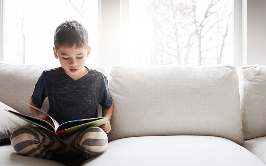 Shot of an adorable little boy reading a book while relaxing on the sofa at home