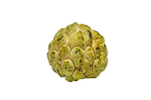 custard apple isolated on white backgound with clipping path