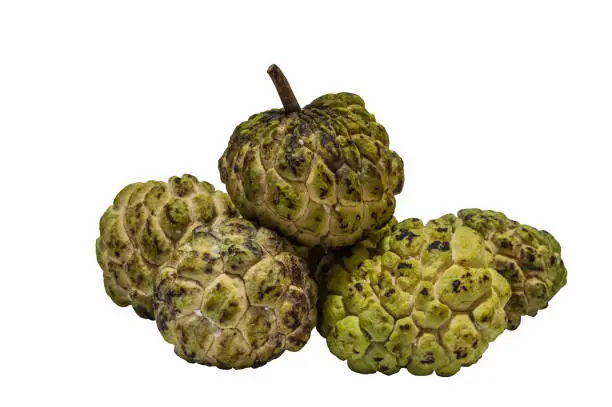 custard apple isolated on white backgound with clipping path