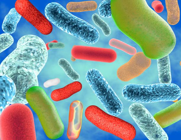 хорошая кишечная микрофлора, здоровые кишки разноцветных пробиотических бактерий иллюстрации. - bacterial colonies стоковые фото и изображения
