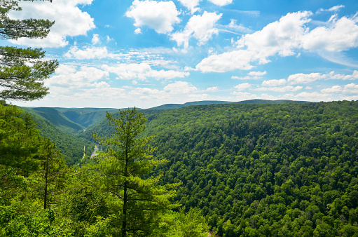 Pine Creek Gorge, also called the Grand Canyon of Pennsylvania. A 47 mile long, 1000 foot deep gorge that winds through north-central Pennsylvania.