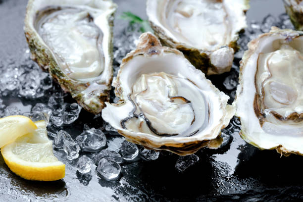 fresh oysters with ice and lemon opened fresh oysters with ice and lemon slice on black slate background oyster stock pictures, royalty-free photos & images