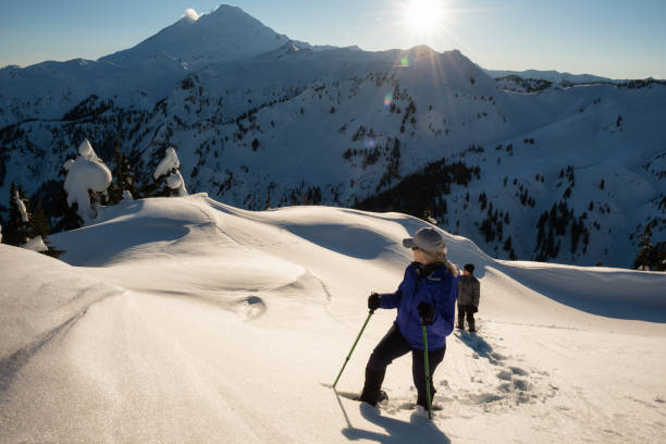 istock Snowshoeing near Mount Baker 1008411884