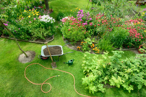 ogród - gardens zdjęcia i obrazy z banku zdjęć