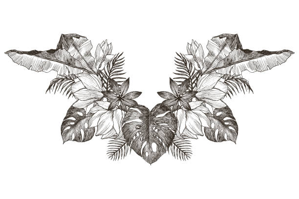 Vintage frame border monogram tropical floral ornament. Engraved retro flower decorative design. Beautiful botanical decorative element for wedding invitation, logo, tattoo. Vector design Vector Wedding Wreath Background. Magnolia, monstera plants. Exotics. Perfect for invitations or announcements. zebra plant stock illustrations