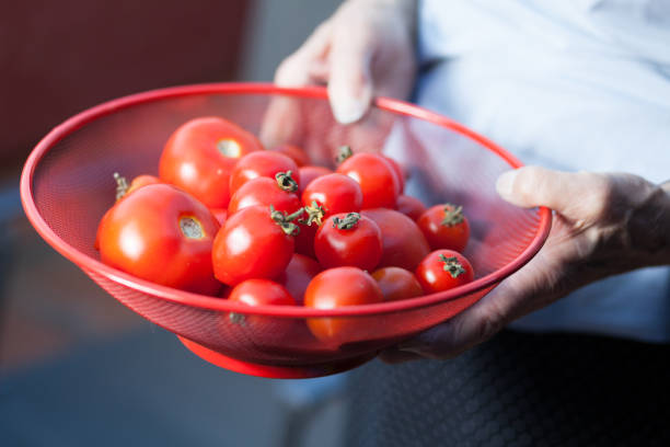 istock woman holding cherry tomato in a bowl 1008423044