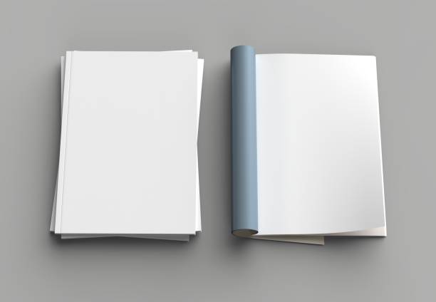 istock Magazine, brochure or catalog mock up isolated on gray background. 3d illustration. 1008429692