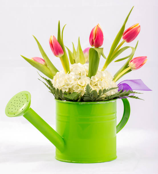 istock Green watering can filled with flowers 1008443006