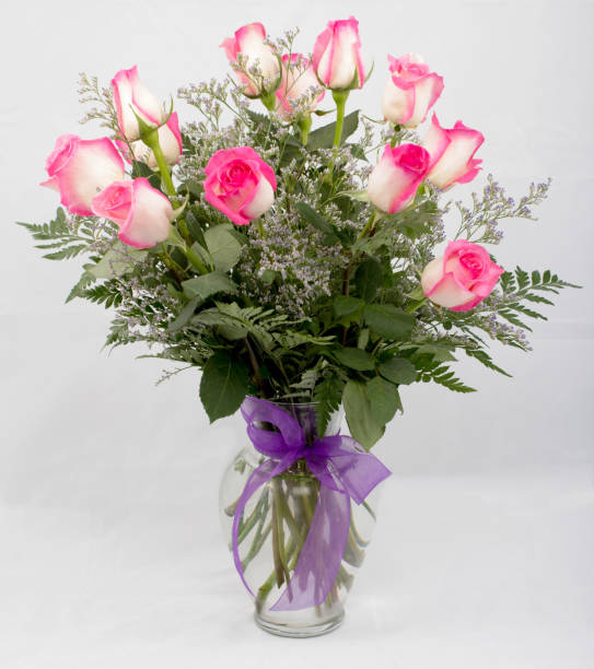 Rosas cor de rosa e brancas em um vaso - foto de acervo