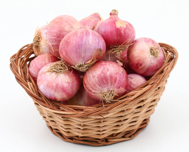 Red Onions stock photo