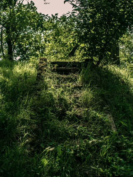 grassy concrete stairs in the park