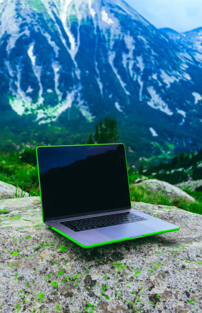 istock Laptop computer at the natural mountain background. Photo depicts notebook computer in the alpine heights. Freelance concept. 1008450112