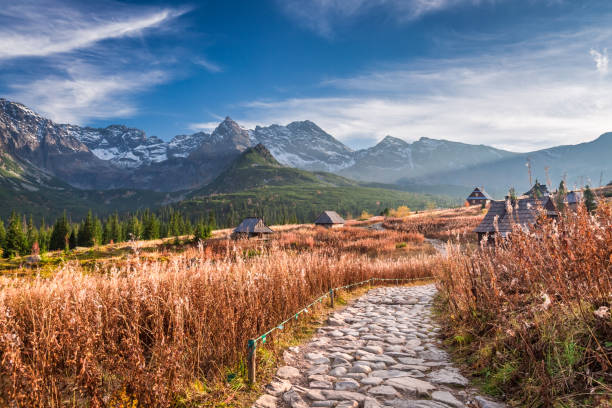 istock Stunning footpath in the Tatra Mountains in autumn 1008450518