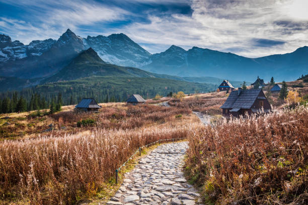 istock Stunning view to path in Tatras at sunset, Poland 1008450664
