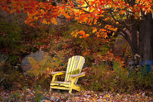 Autumn in Canada. Beautiful autumn scene in Ontario Province.