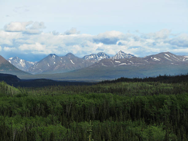 istock Mount McKinley in Denali National park, Alaska. 1008451222