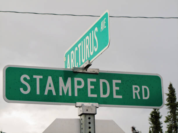 istock Arcturus Ave and Stampede Road Sign 1008453686