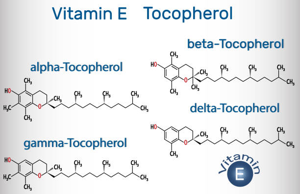 Vitamin E - Tocopherol (alpha-, beta-, gamma-, delta-) molecule. Structural chemical formula Vitamin E - Tocopherol (alpha-, beta-, gamma-, delta-) molecule. Structural chemical formula. Vector illustration alpha tocopherol stock illustrations