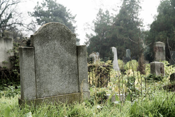 istock Tombstone on a Cemetery 1008461460