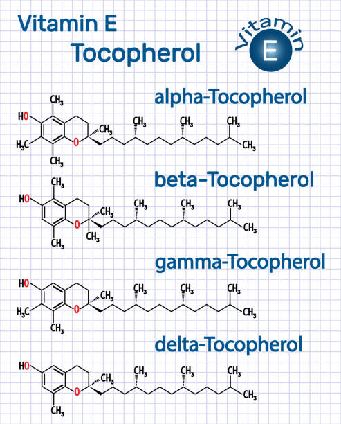 Vitamin E - Tocopherol (alpha-, beta-, gamma-, delta-) molecule. Structural chemical formula. Sheet of paper in a cage Vitamin E - Tocopherol (alpha-, beta-, gamma-, delta-) molecule. Structural chemical formula. Sheet of paper in a cage. Vector illustration alpha tocopherol stock illustrations