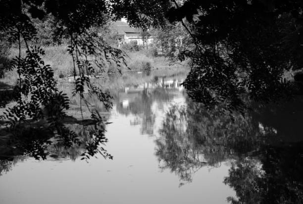 istock View of a river, monochrome landscape 1008469324