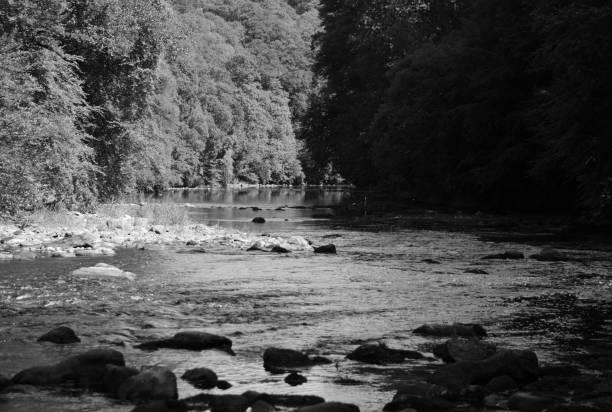 istock View of a river, monochrome landscape 1008469462