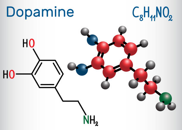 молекула допамина (da). структурная химическая формула и модель молекул - phenethylamine stock illustrations