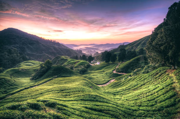 istock Stunning landscape scenery at early morning 1008477846