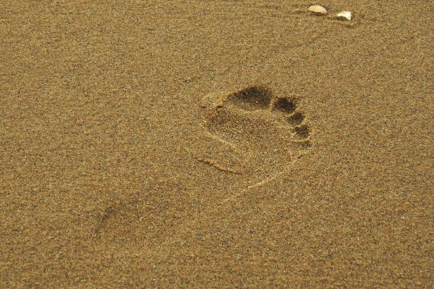 istock Footprint in the sand 1008477968
