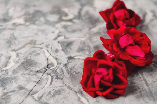 istock Three red roses on old gray concrete surface. Love concept 1008484306