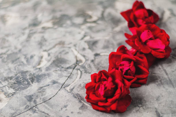 Row of four red roses on old gray concrete surface. Love concept