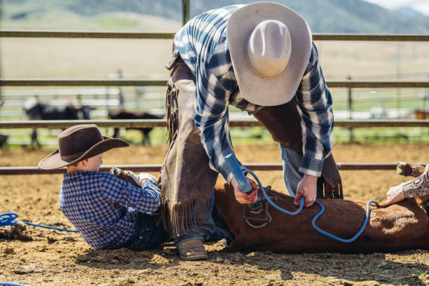 istock Branding cattle in Utah 1008491788