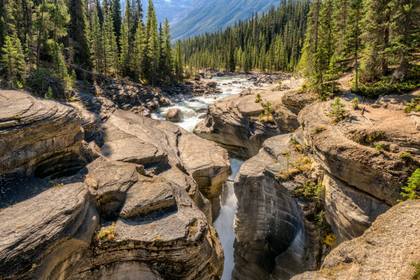 istock Mistaya Canyon - Icefields Parkway in Banff National Park 1008494340