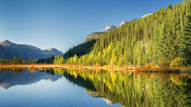 istock Rampart Ponds in Autumn on the Icefields Parkway Banff 1008495574
